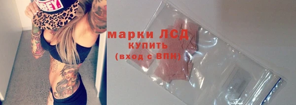 ГАЛЛЮЦИНОГЕННЫЕ ГРИБЫ Вяземский