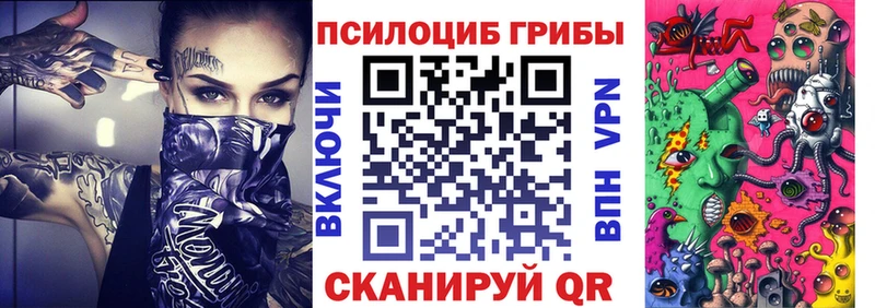 Купить  Новоульяновск  Псилоцибиновые грибы Psilocybine cubensis 